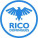 Rico Domingues