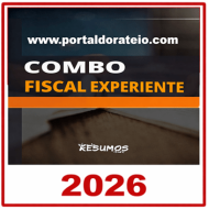 COMBO FISCAL EXPERIENTE Radegondes Resumos 2026 Atualizado