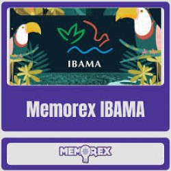 MEMOREX - IBAMA (Analista Ambiental: Cargo 2) - Pós Edital 2025