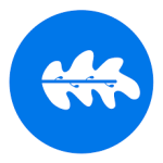rumo-a-magistratura