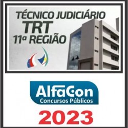 TRT 11ª REGIÃO – AM/RR (TÉCNICO JUDICIÁRIO – ÁREA ADMINISTRATIVA) PÓS EDITAL