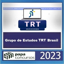 Grupo de Estudos TRT Brasil - Papa Concursos 2023